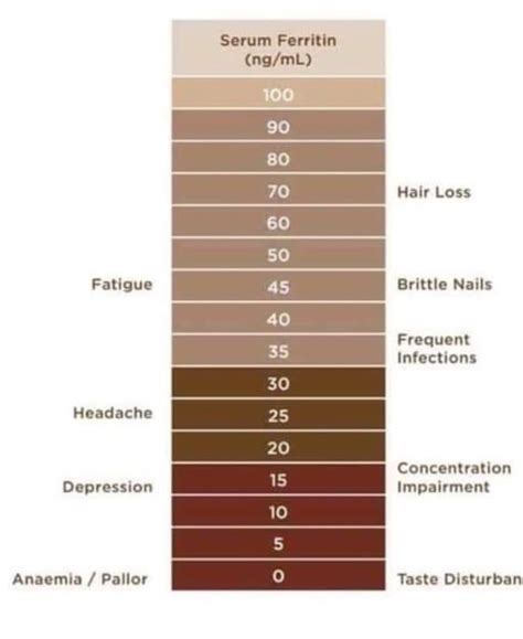 water iron scale chart